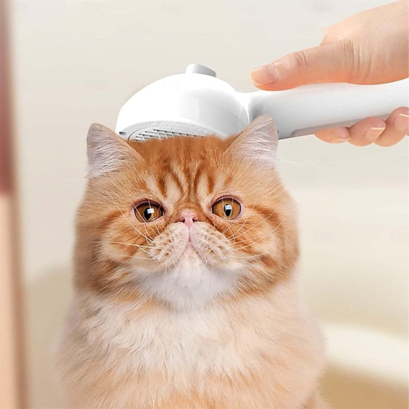 2-in-1 massaging brush for a shiny coat