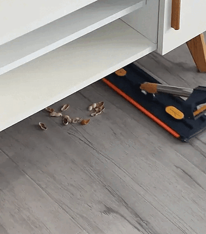 Product showcase image